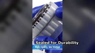 CPM2518 Zweireihiges Zylinderrollenlager ohne Außenring | Automobil- und Industrielager