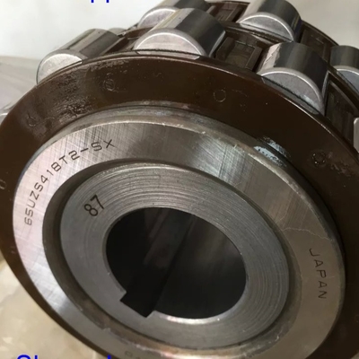 65UZS418T2X-SX-87 Zylindrisches Walzlager mit Busch 65UZS418 Nylonkäfig exzentrisches Lager