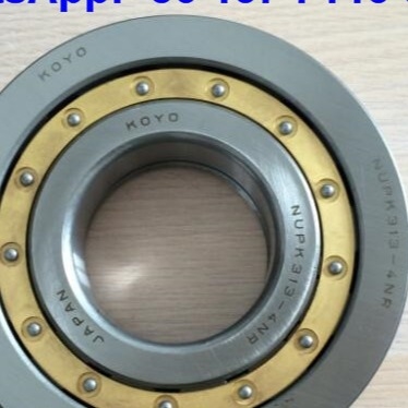 NUP313-4N Zylindrische Walzlager NUPK313-4NRS02C3 Walzlager mit Knallring