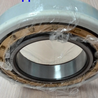 NU320ECM / C3VL0241 Elektrische Insocoat-Zylinderrollenlager 100x215x47mm