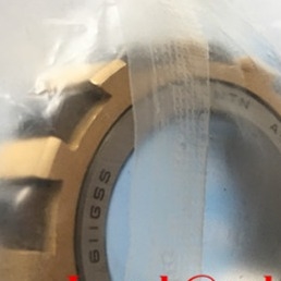 611 GSS (A-BE-NKZ27.5X47X14-2) Exzentrisches zylindrisches Rolllager mit einer Länge von 27,5 x 47 x 14 mm ISO
