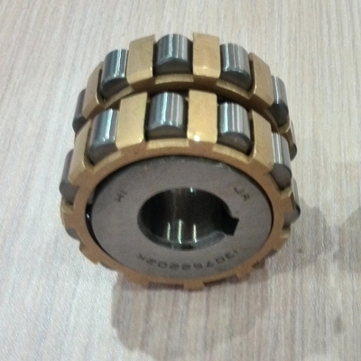 500752307 Nylonkäfig Doppelreihe exzentrisches Rolllager 35x86,5x50mm