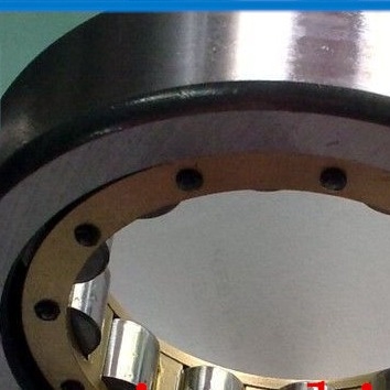 Vollkomplett zylindrisches Walzlager, Industriewalzlager NU318