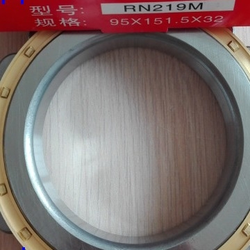 502219H Reduzierungsgetriebe Lager RN219M Messing Käfig Rollschublager 95x151.5x32mm